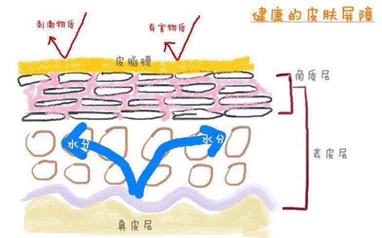 軍事迷的護膚解讀：我將合理清潔、保濕、防曬